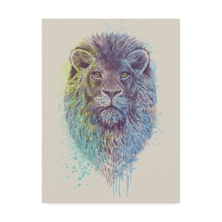 Trademark Fine Art Rachel Caldwell 'Lion King Color' Canvas Art, 18x24 ALI43952-C1824GG